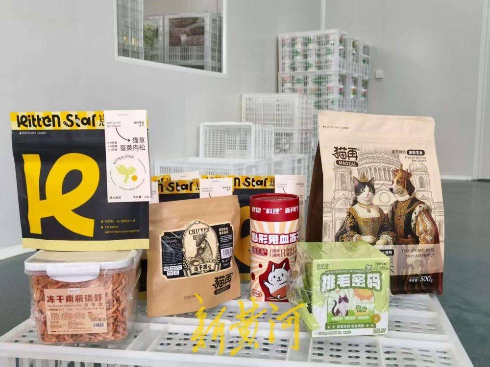 让萌宠“定制”产业破局腾飞AG真人app潍坊临朐：(图2)