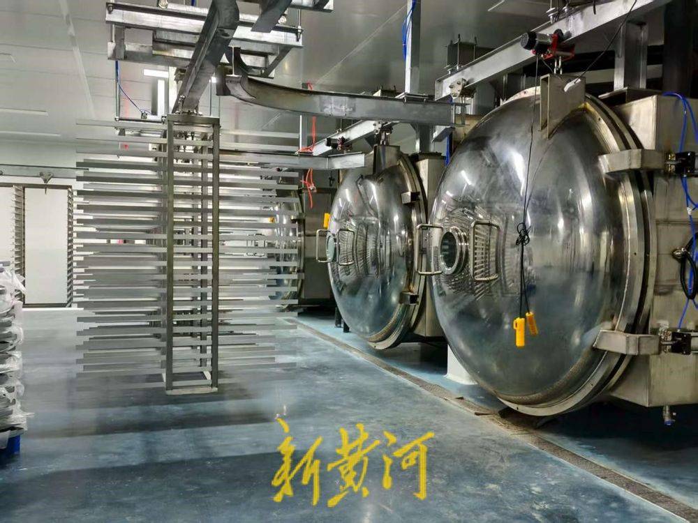 让萌宠“定制”产业破局腾飞AG真人app潍坊临朐：