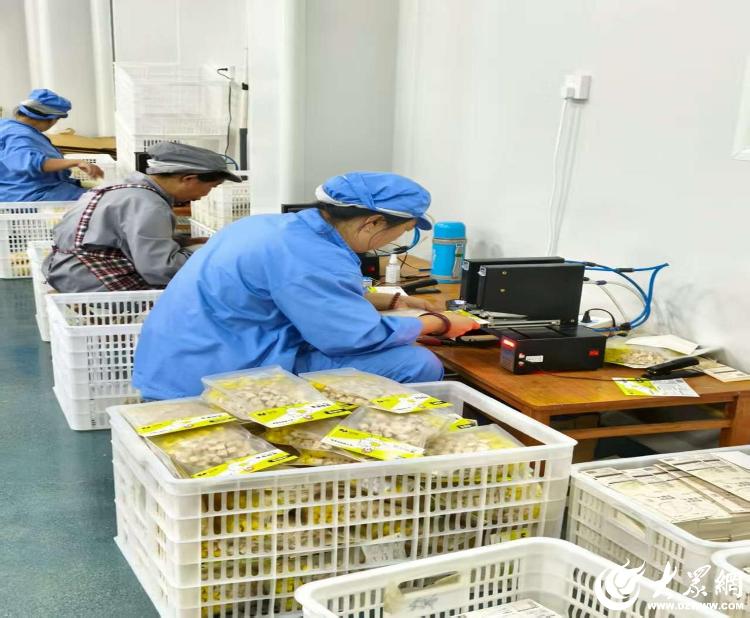 朐:藏在大山深处的“高级定制”AG真人百家家乐app潍坊临(图1) 朐:藏在大山深处的“高级定制”AG真人百家家乐app潍坊临(图1)