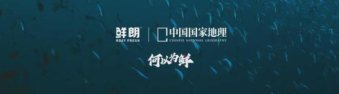 国内首个《鲜肉烘焙全价宠物食品》标准AG真人登录从开创到引领：鲜朗发布