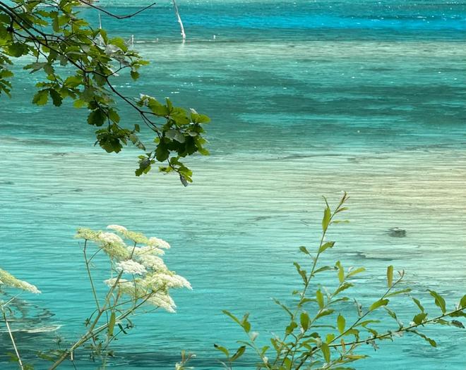 旅游4天3晚防坑防骗攻略~一文全掌握！A